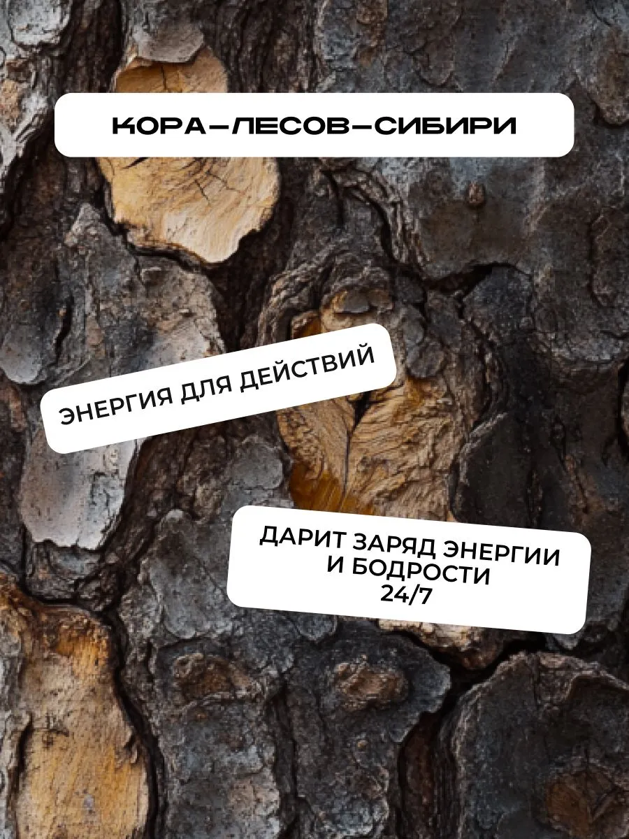 LЁD Дезодорант-спрей мужской Сила тайги, 150 мл