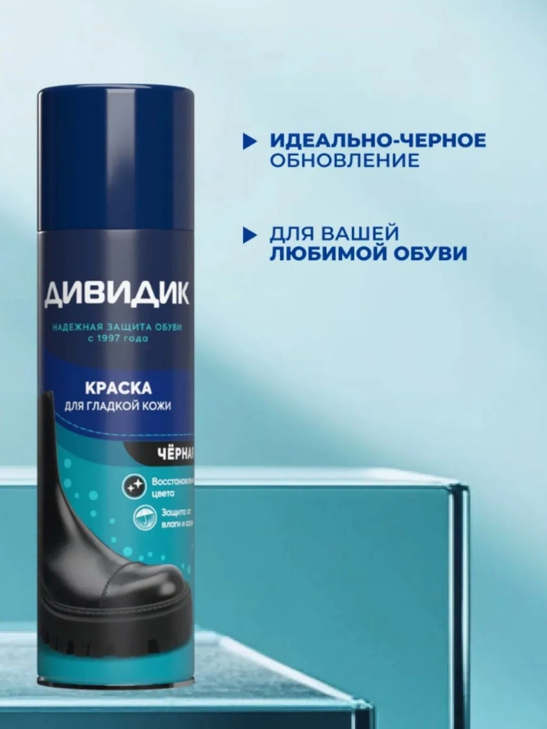 Аэрозоль Дивидик краска для гладкой кожи (Черный) 250мл