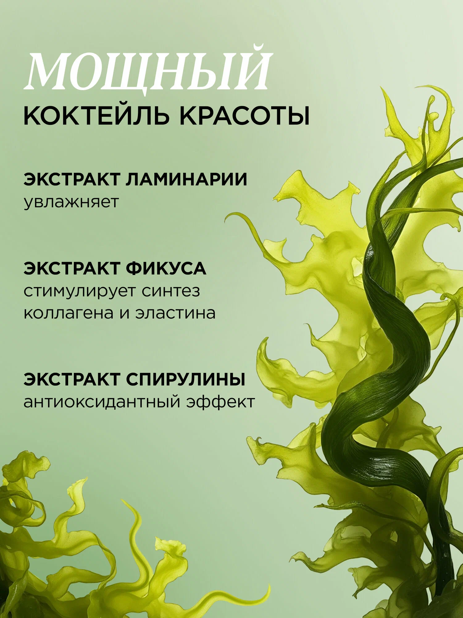 Водорослевое обертывание MIXIT Fat Breaking Algae Body Wrap 200мл